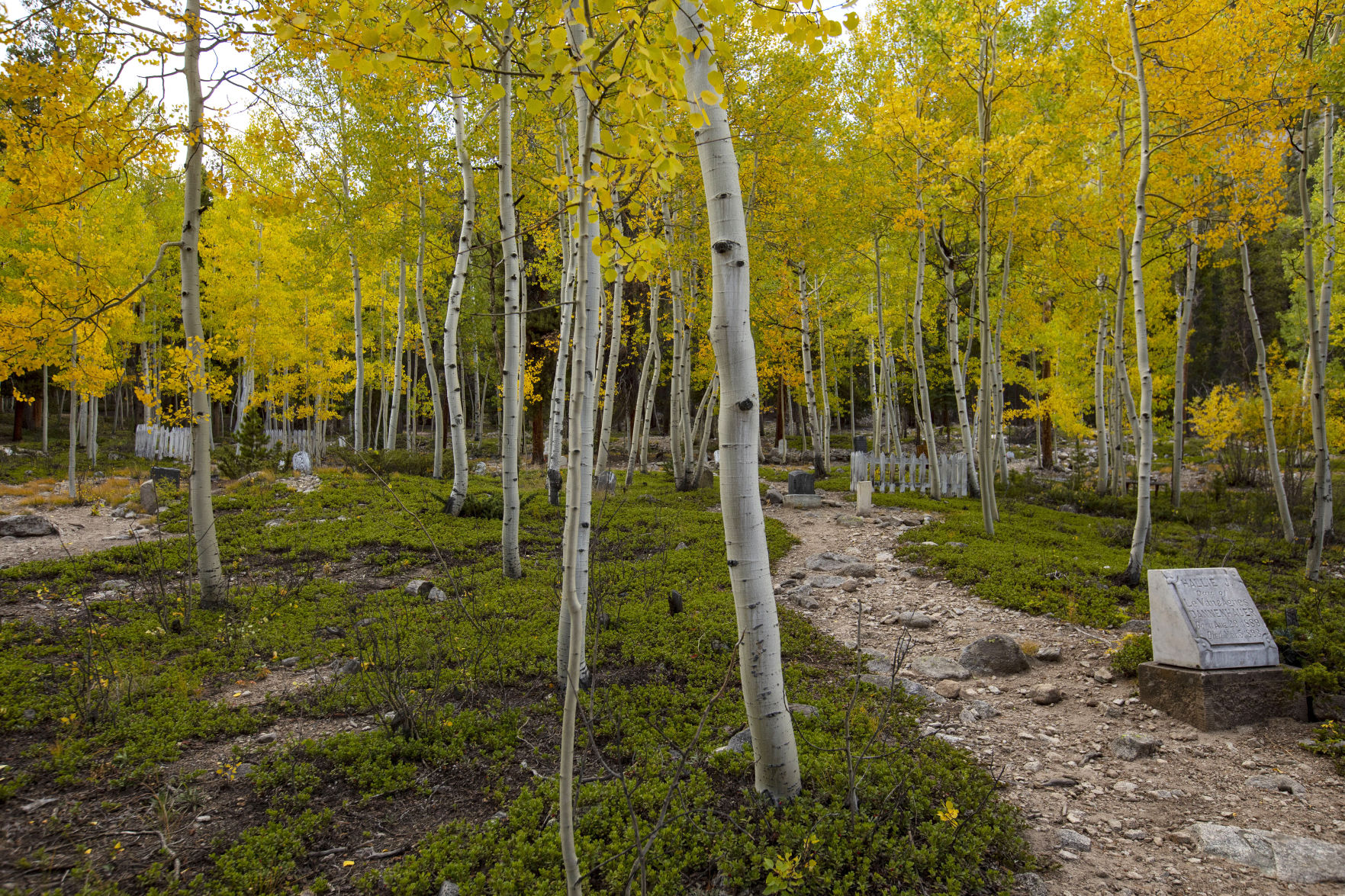 100219-news-fallcolors 27
